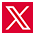 X Icon